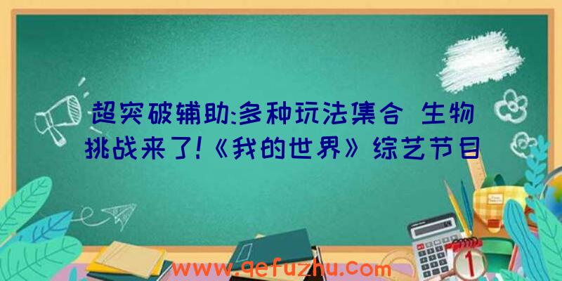 超突破辅助:多种玩法集合